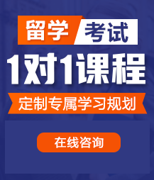 大鸡巴狂操嫩B视频留学考试一对一精品课